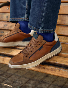 Axis-0-14 Brandy BULLBOXER