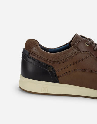 Zapatos Hombre Cuero Cram-0-21 Café
