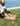 Zapatos Hombre Cuero Dozza-0-03-Brandy