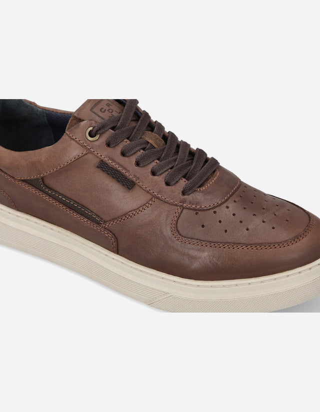 Zapatillas Urbanas Hombre Cuero Honorio Brandy