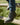 botines-hombre-cuero-kensington-6-02-negro-cardinale