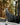 botines-hombre-cuero-forest-6-31-negro-cardinale