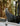 botines-hombre-cuero-forest-6-31-negro-cardinale