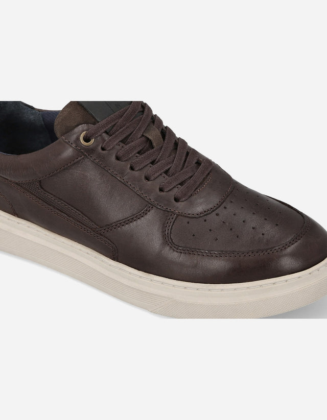 Zapatillas Urbanas Hombre Cuero Honorio Café