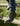 botines-hombre-cuero-kensington-6-02-negro-cardinale