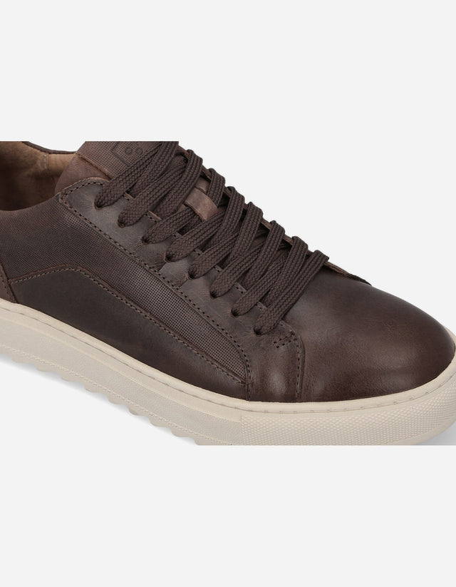 Zapatillas Urbanas Hombre Cuero Nigel Café