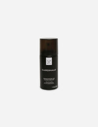 Spray Renovador Cuero Graso