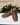 zapatos-hombre-cuero-reston-0-12-brandy-cardinale