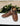 zapatos-hombre-cuero-reston-0-12-brandy-cardinale