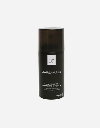 Shampoo Espuma Cuero Nobuk Y Gamuza