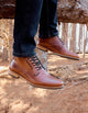 Botines Formal Casual Hombre Cuero Detalle Brogue Taron-6-23 Brandy